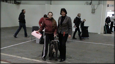  mastino Kimberly van de Wiltimana