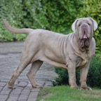 Blondie 2 years