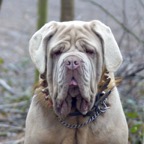 blondie 7 months