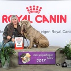 blondie dutch champion 2017
