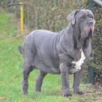 yatzil 2 years