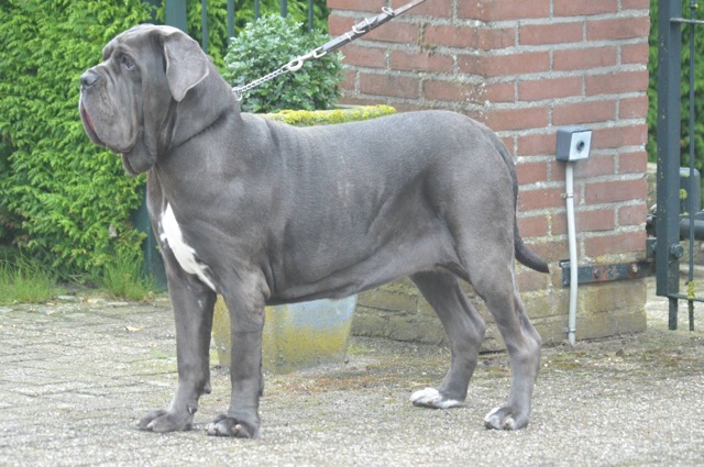 yatzil 8 months