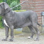 yatzil 8 months