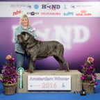 Winner 2016 kloss de azzurra