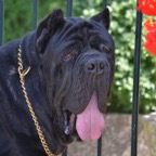 rammstein 9 months
