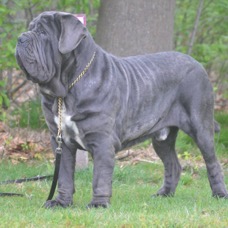 marvelous 18 mths